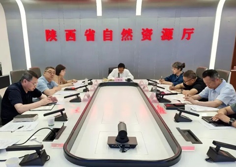 陕西省自然资源厅召开地质灾害防治等重点工作调度会