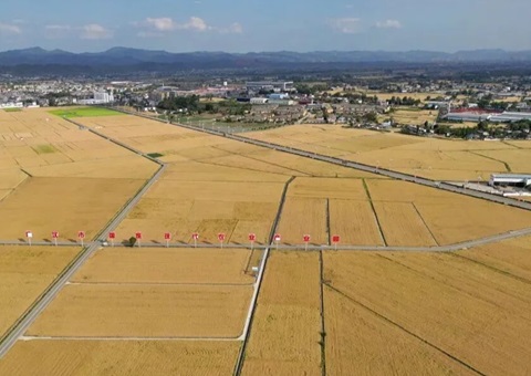 四川省首例以农村集体经济组织配套设施建设项目方式调整永久基本农田案例落地广汉市